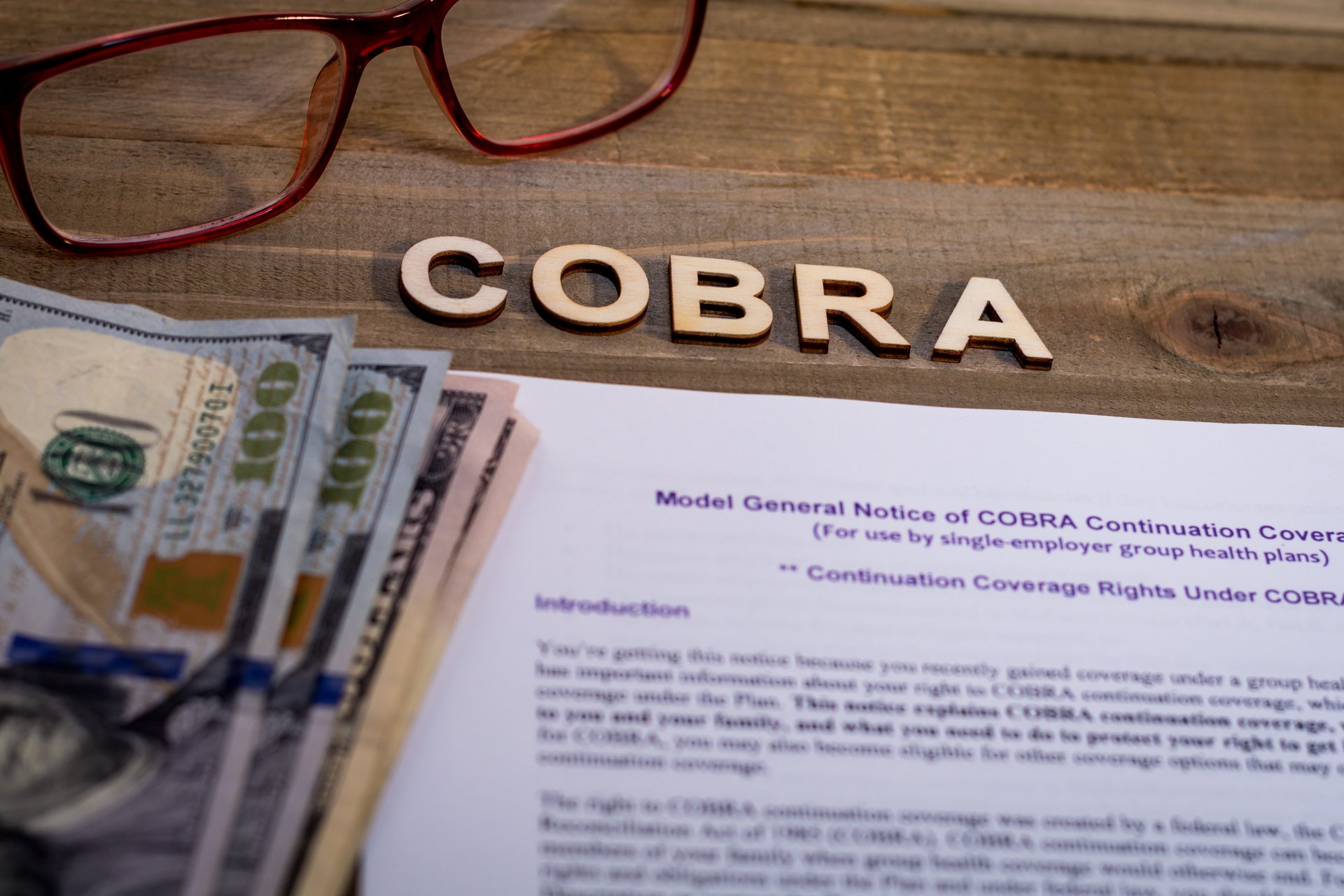 New COBRA Subsidy Provisions